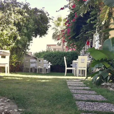 Exclusive & Cesme